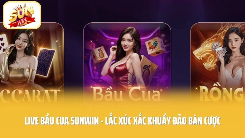 Live Bầu Cua SUNWIN - Lắc Xúc Xắc Khuấy Đảo Bàn Cược