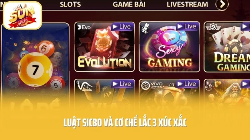 Luật Sicbo và cơ chế lắc 3 xúc xắc